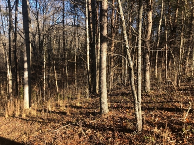 Lots for Sale, Albany KY - image 1