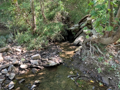 Land for sale in TN with Creek, Septic and RV Camper - image 4
