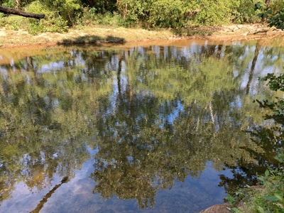Land for sale in TN with Creek, Septic and RV Camper - image 2