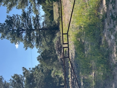 Northern NM Mountain Land for Sale Tierra Amarilla NM - image 2
