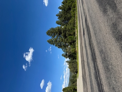 Northern NM Mountain Land for Sale Tierra Amarilla NM - image 3