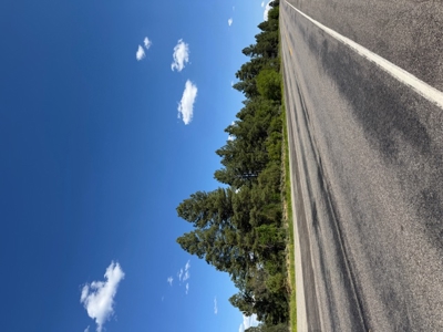 Northern NM Mountain Land for Sale Tierra Amarilla NM - image 4