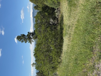 Northern NM Mountain Land for Sale Tierra Amarilla NM - image 1