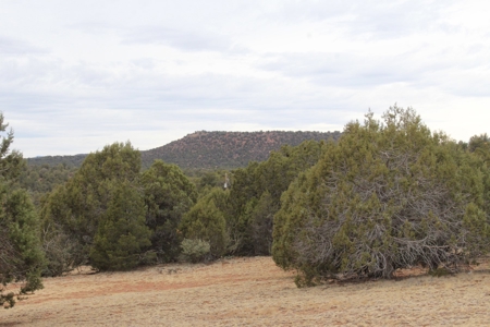 Mountain Land near National Forest Great for Camping! - image 2