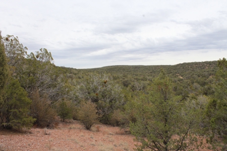 Mountain Camping/Cabin Land for sale Northern AZ No HOA - image 1