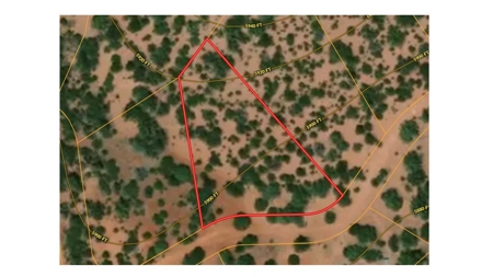 Mountain Camping/Cabin Land for sale Northern AZ No HOA - image 4