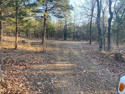 Sardis Lake Land for Sale Clayton, OK-Pushmataha County Land - image 4