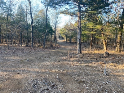 Sardis Lake Land for Sale Clayton, OK-Pushmataha County Land - image 8