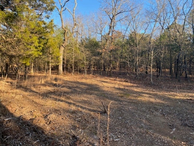 Sardis Lake Land for Sale Clayton, OK-Pushmataha County Land - image 5