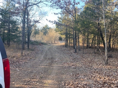 Sardis Lake Land for Sale Clayton, OK-Pushmataha County Land - image 3