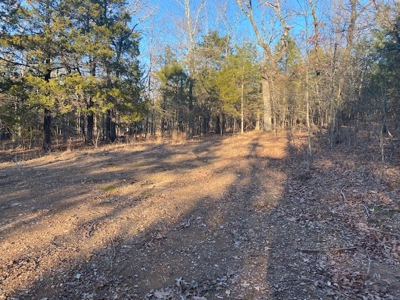 Sardis Lake Land for Sale Clayton, OK-Pushmataha County Land - image 7