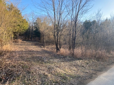 Sardis Lake Land for Sale Clayton, OK-Pushmataha County Land - image 2