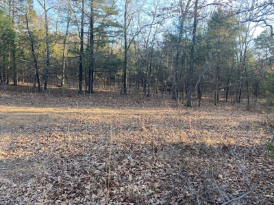 Sardis Lake Land for Sale Clayton, OK-Pushmataha County Land - image 6
