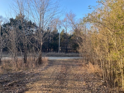 Sardis Lake Land for Sale Clayton, OK-Pushmataha County Land - image 9