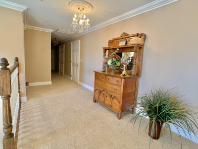 Alabama Cattle Farm & Luxury Home For Sale - David Miller UC - image 29