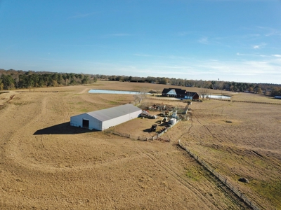 Alabama Cattle Farm & Luxury Home For Sale - David Miller UC - image 50