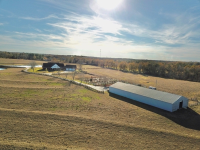 Alabama Cattle Farm & Luxury Home For Sale - David Miller UC - image 48