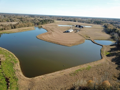 Alabama Cattle Farm & Luxury Home For Sale - David Miller UC - image 3