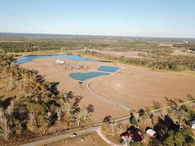 Alabama Cattle Farm & Luxury Home For Sale - David Miller UC - image 2