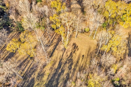 683 Acres Hardwood Hunting Land for Sale West Feliciana, LA - image 30