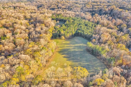 683 Acres Hardwood Hunting Land for Sale West Feliciana, LA - image 37