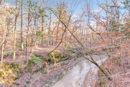 683 Acres Hardwood Hunting Land for Sale West Feliciana, LA - image 34