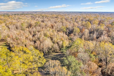 683 Acres Hardwood Hunting Land for Sale West Feliciana, LA - image 26