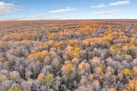 683 Acres Hardwood Hunting Land for Sale West Feliciana, LA - image 24