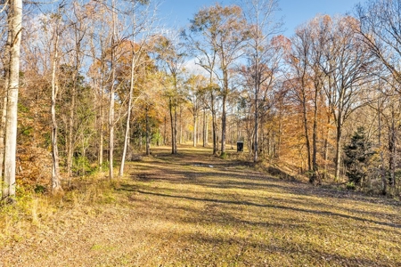 683 Acres Hardwood Hunting Land for Sale West Feliciana, LA - image 28