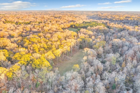 683 Acres Hardwood Hunting Land for Sale West Feliciana, LA - image 19