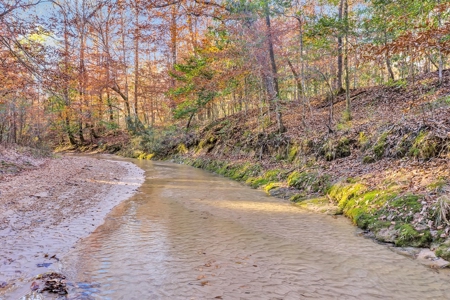 683 Acres Hardwood Hunting Land for Sale West Feliciana, LA - image 31