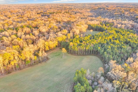 683 Acres Hardwood Hunting Land for Sale West Feliciana, LA - image 20