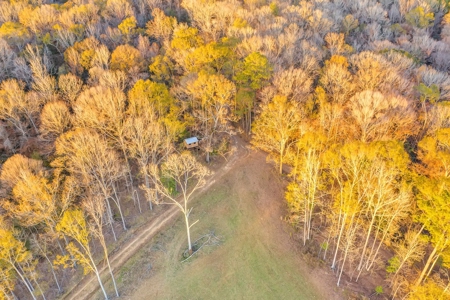 683 Acres Hardwood Hunting Land for Sale West Feliciana, LA - image 21