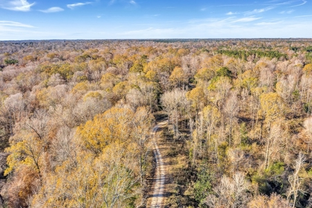 683 Acres Hardwood Hunting Land for Sale West Feliciana, LA - image 27