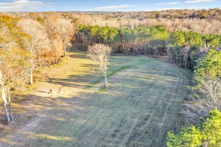683 Acres Hardwood Hunting Land for Sale West Feliciana, LA - image 35