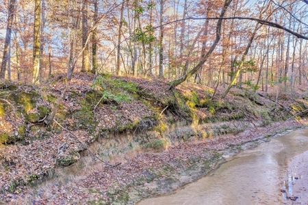 683 Acres Hardwood Hunting Land for Sale West Feliciana, LA - image 33