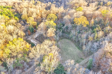683 Acres Hardwood Hunting Land for Sale West Feliciana, LA - image 7