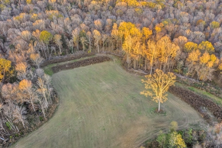 683 Acres Hardwood Hunting Land for Sale West Feliciana, LA - image 25