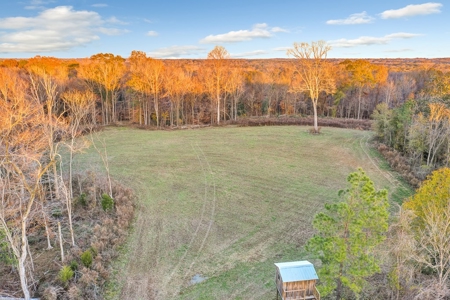683 Acres Hardwood Hunting Land for Sale West Feliciana, LA - image 22