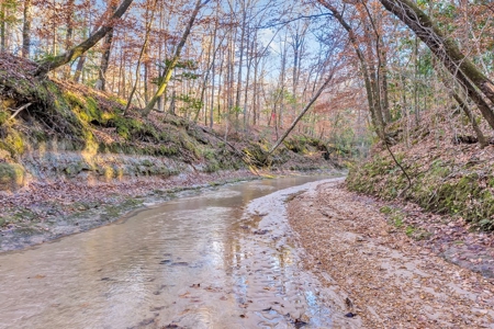 683 Acres Hardwood Hunting Land for Sale West Feliciana, LA - image 32