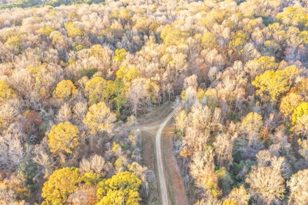 683 Acres Hardwood Hunting Land for Sale West Feliciana, LA - image 13
