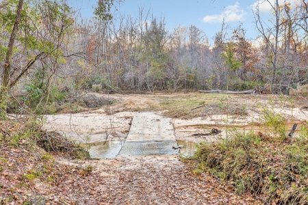683 Acres Hardwood Hunting Land for Sale West Feliciana, LA - image 39