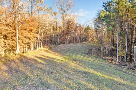 683 Acres Hardwood Hunting Land for Sale West Feliciana, LA - image 36