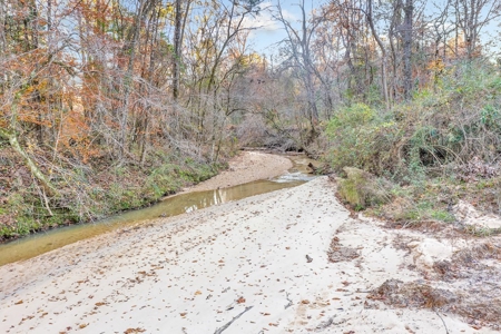 683 Acres Hardwood Hunting Land for Sale West Feliciana, LA - image 6