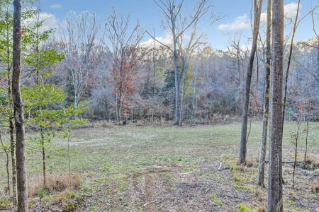 683 Acres Hardwood Hunting Land for Sale West Feliciana, LA - image 17