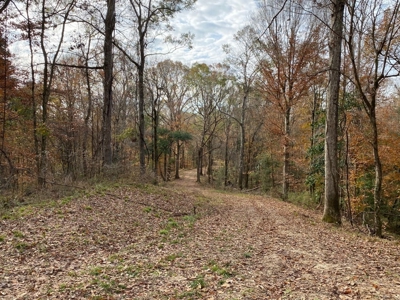 683 Acres Hardwood Hunting Land for Sale West Feliciana, LA - image 44