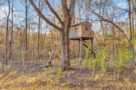 683 Acres Hardwood Hunting Land for Sale West Feliciana, LA - image 38
