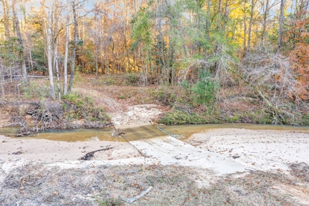 683 Acres Hardwood Hunting Land for Sale West Feliciana, LA - image 5