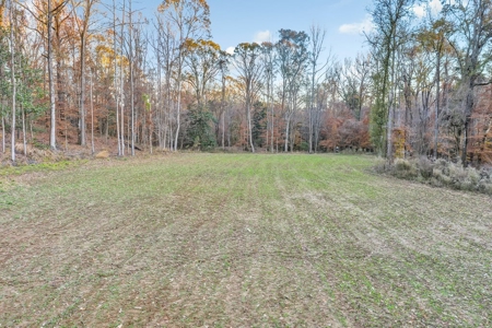 683 Acres Hardwood Hunting Land for Sale West Feliciana, LA - image 18