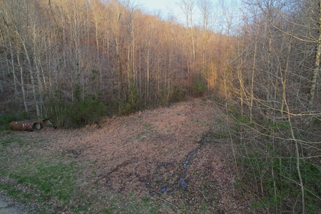 75.15+/- Acres - Hunting Land - Mostly Wooded - Liberty, KY. - image 8